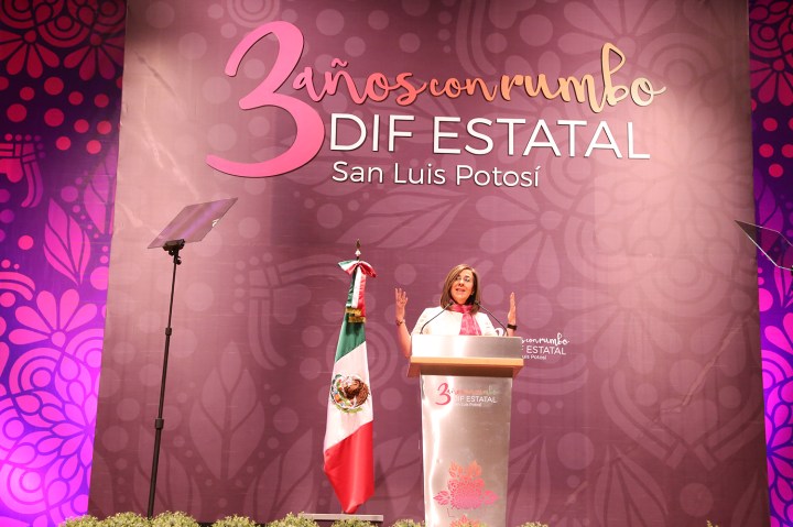 DIF-LVR Tercer Informe 210219 (4).JPG