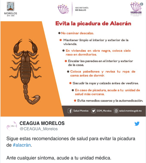 Captura de Pantalla 2019-05-30 a la(s) 0.37.07