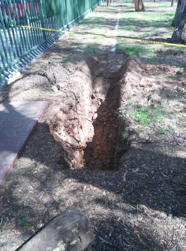 WhatsApp Image 2019-06-18 at 18.34.30