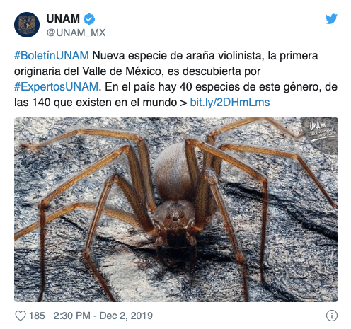 Captura de Pantalla 2019-12-03 a la(s) 11.38.23