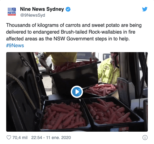 Captura de Pantalla 2020-01-13 a la(s) 14.33.51