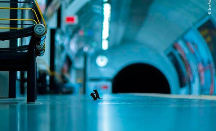 a38a894cfbdaef45313e44e5b516db58f907777fw-focus-min0.1-min0.47-696-423