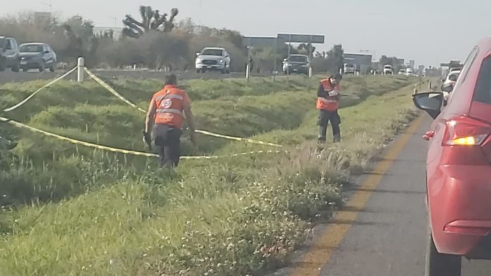 bccb9fab-f850-4c55-8686-7934d08a54bc-696x392