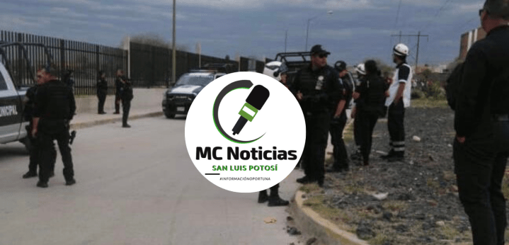 Diseño sin título (5)