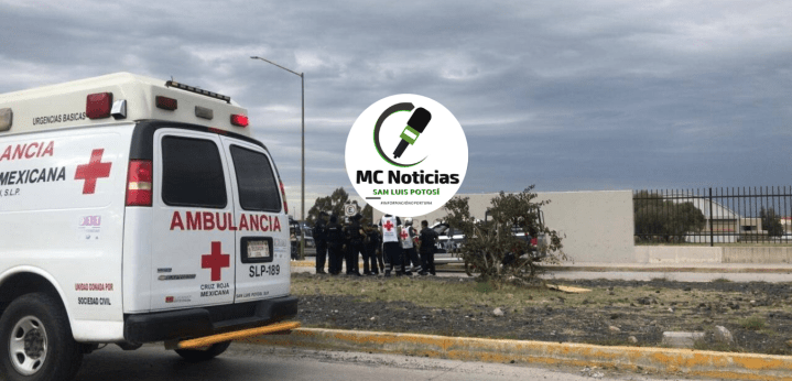 Diseño sin título (6)