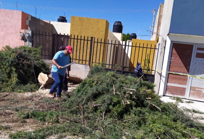 WhatsApp Image 2020-02-06 at 14.35.20