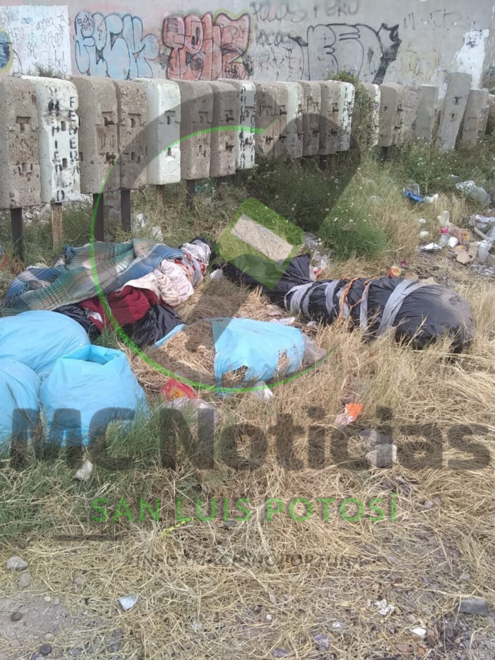 Copia de Diseño sin título (1)