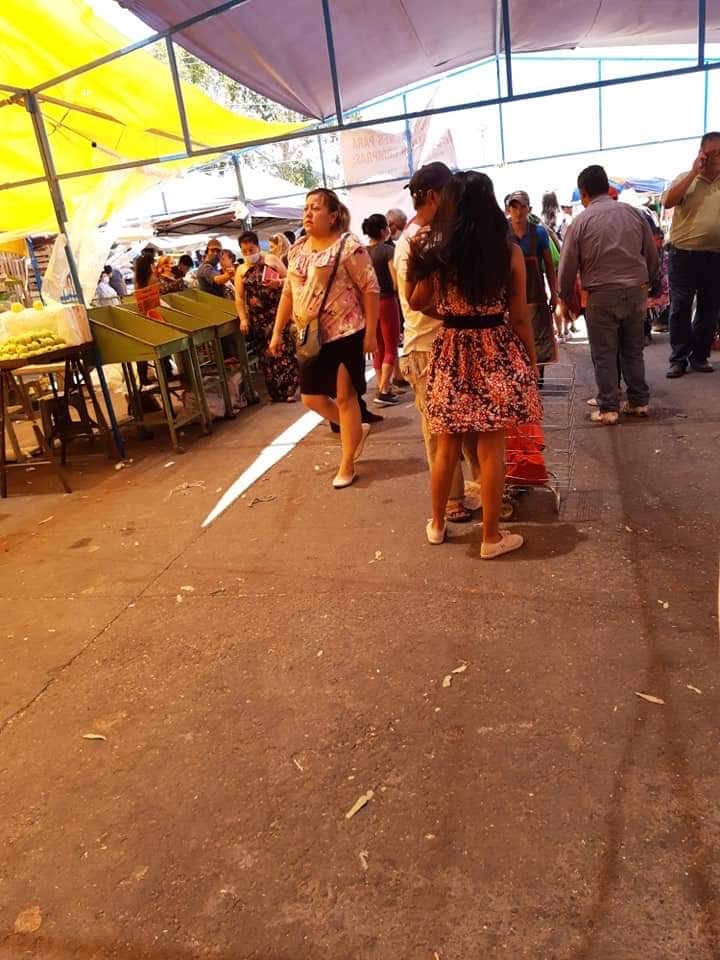 850f655a-bd98-461b-afe0-cac080e4603a