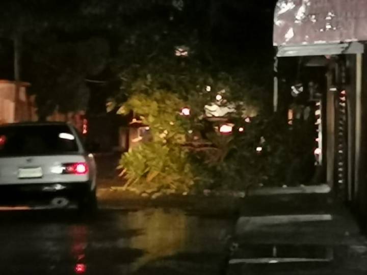 PC Lluvia Huasteca 260420 (2)