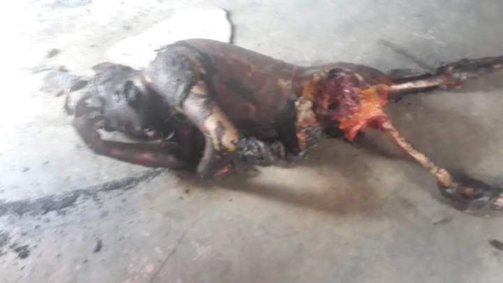 WhatsApp Image 2020-04-24 at 20.10.42