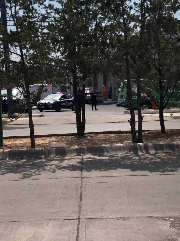 848ba145-724a-4ecf-af9e-1b832f4b367e