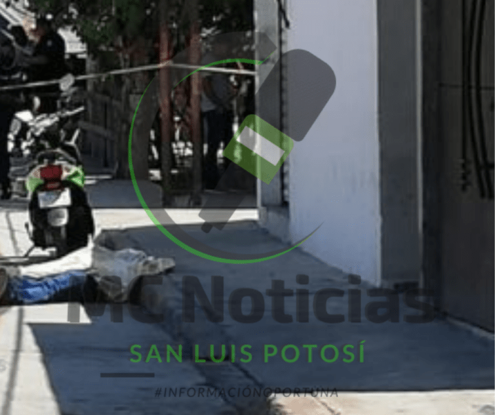 Diseño sin título (4)