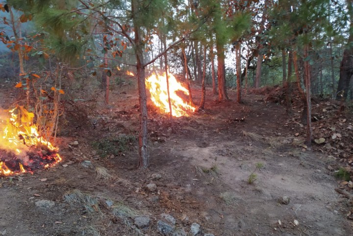 PC Incendio Bagres 190520 (1)