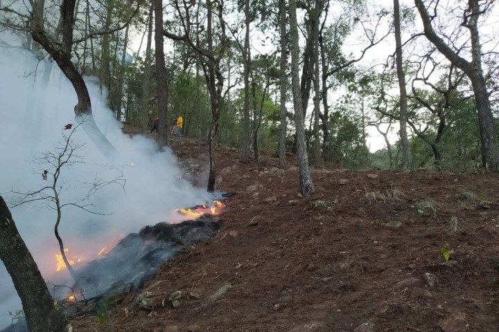 PC Incendio Bagres 190520 (3)