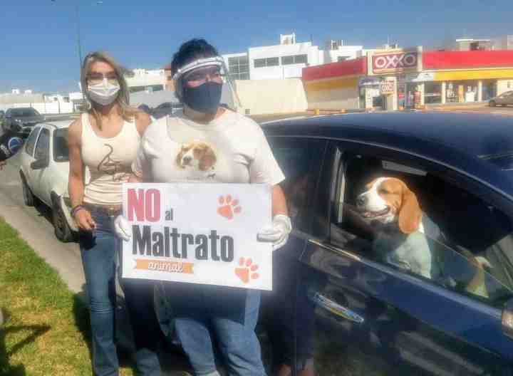 whatsappimage20200515at10.28.25am