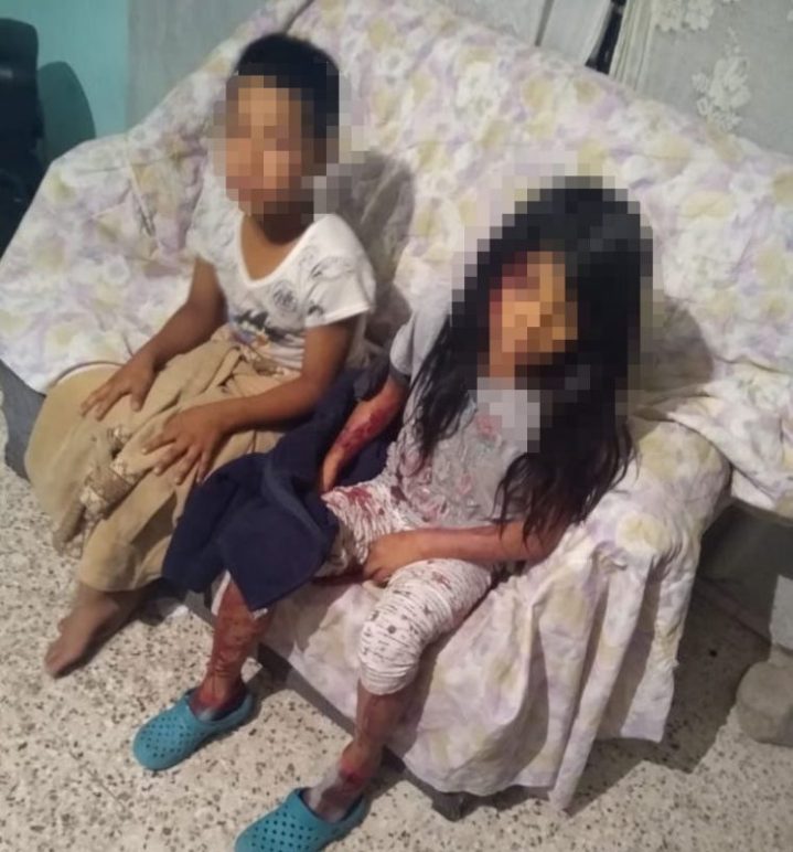 ninas-saucito-746x800