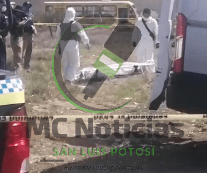 Diseño sin título-5