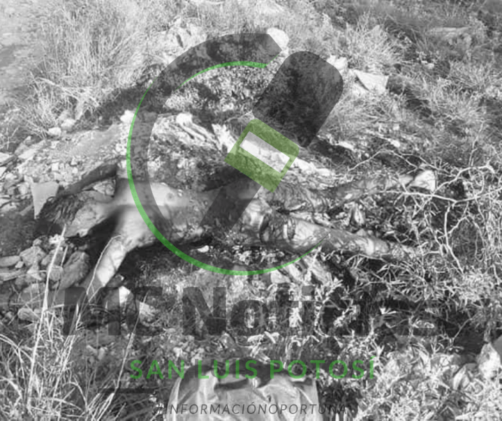 3508628B-D8B0-4B95-9FA6-B5B52137CED8