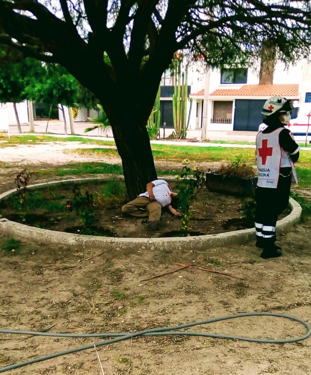 FDD4E8D3-C807-48FB-967C-EA621A1BAAE2