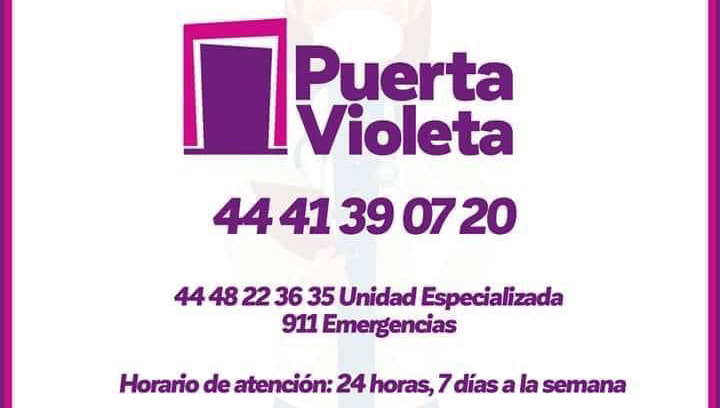 PUERTA VIOLETA 1