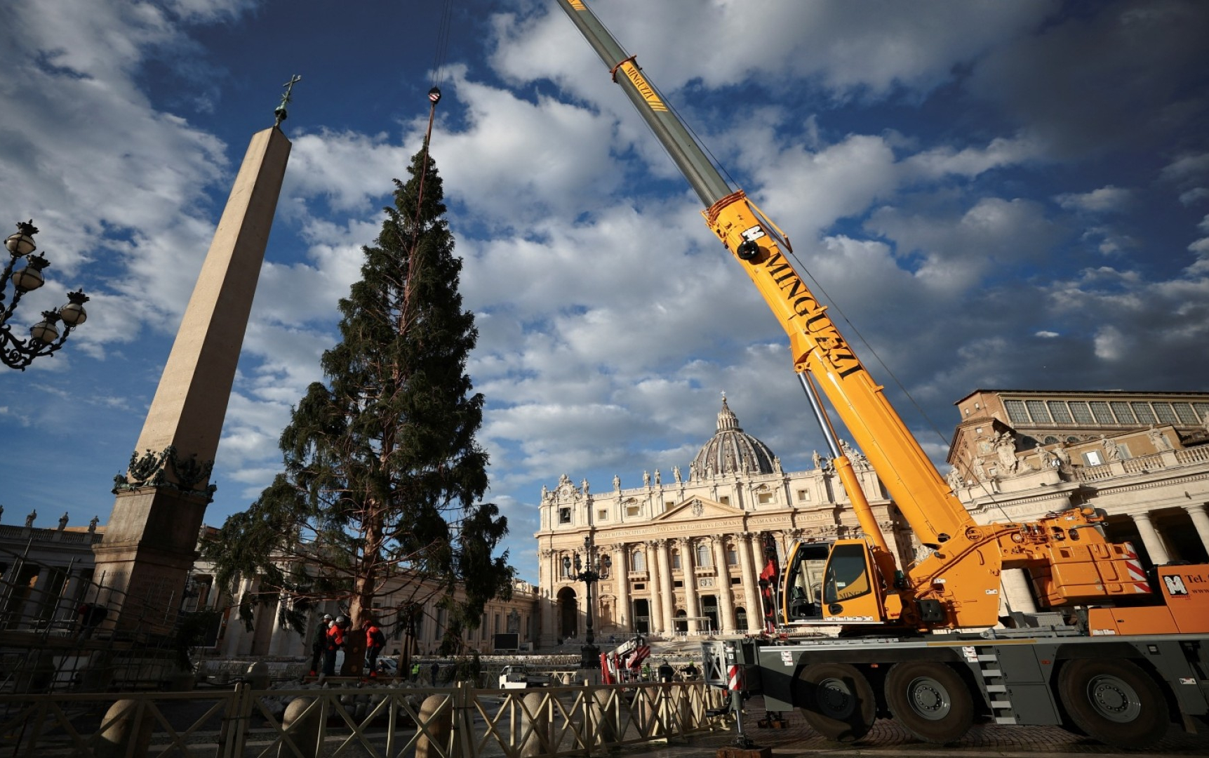 El árbol levantado en la Plaza de San Pedro