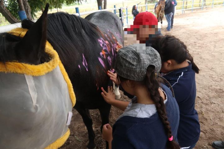 Niños interactuando y tocando un caballo en una sesión de equinoterapia, en un ambiente al aire libre.